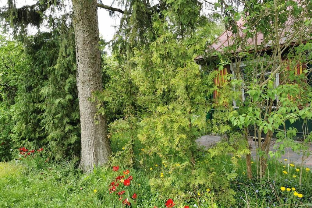 Willa Kraina Bugu Parosla Zewnętrze zdjęcie