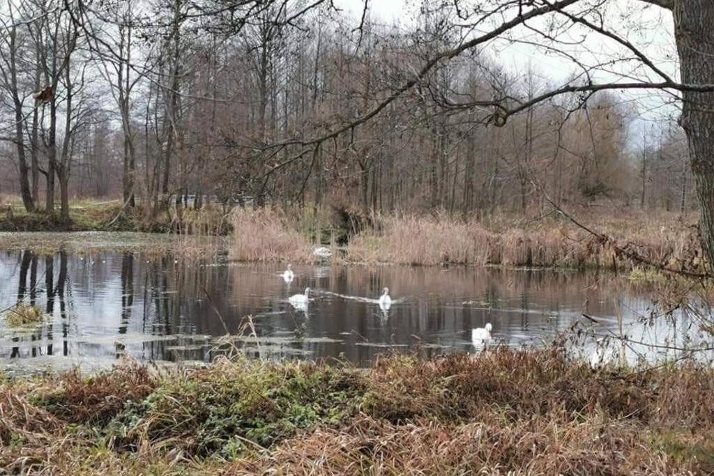 Willa Kraina Bugu Parosla Zewnętrze zdjęcie