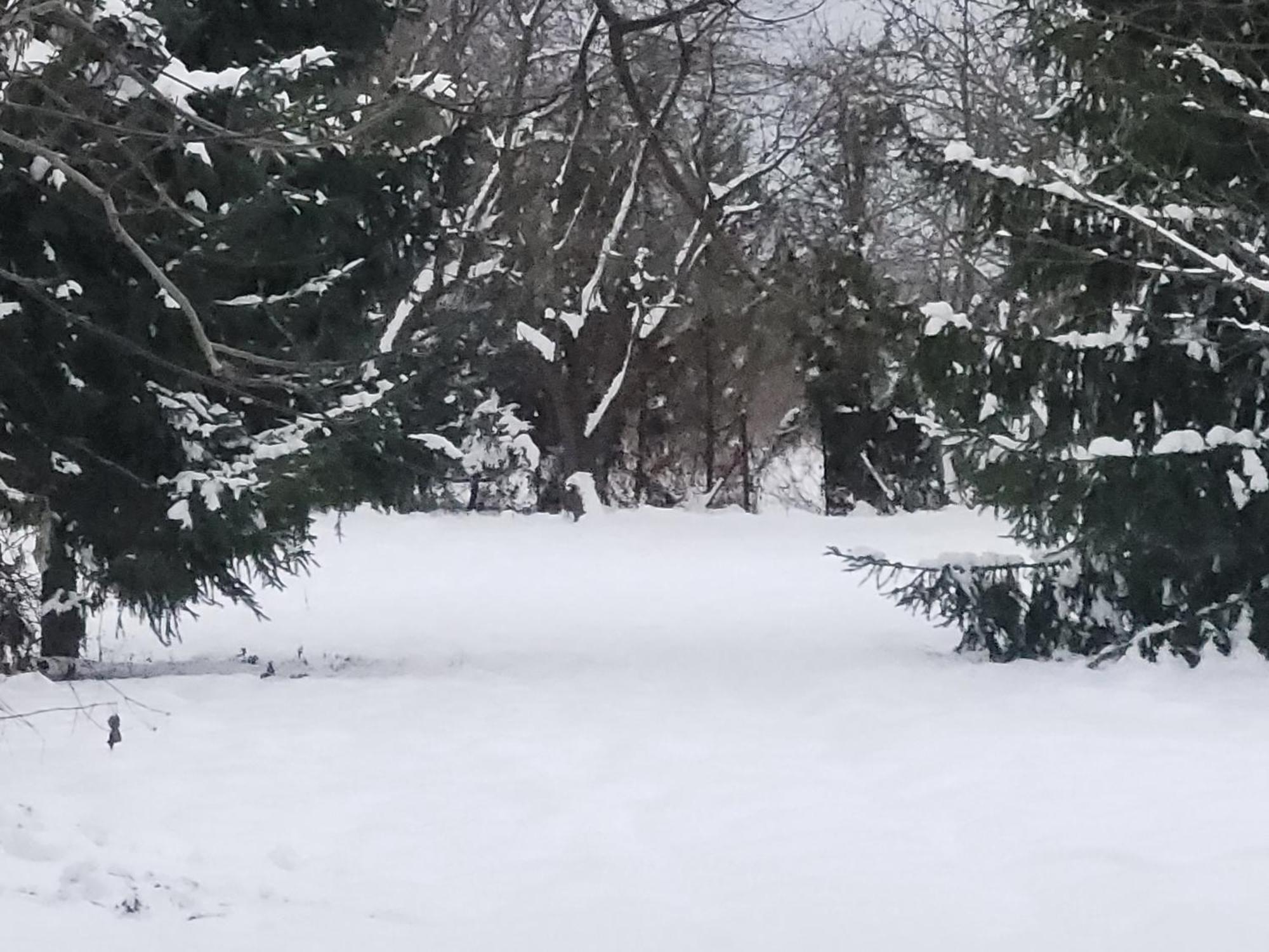 Willa Kraina Bugu Parosla Zewnętrze zdjęcie